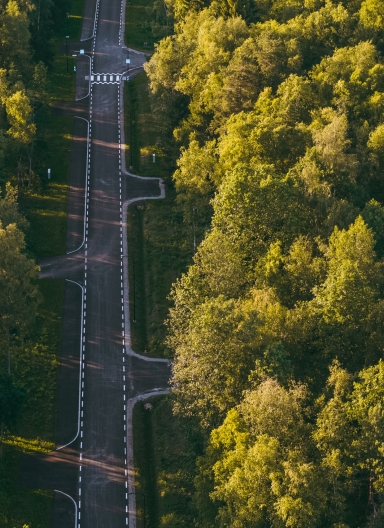 Large residential plots